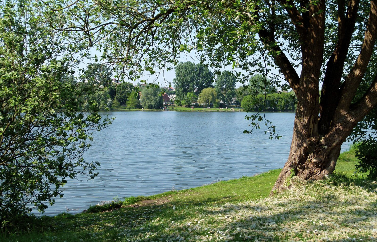 ETANG LE VIGNOBLE LA SENTINELLE 2